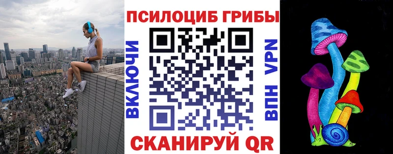 Галлюциногенные грибы мицелий  Гусиноозёрск 